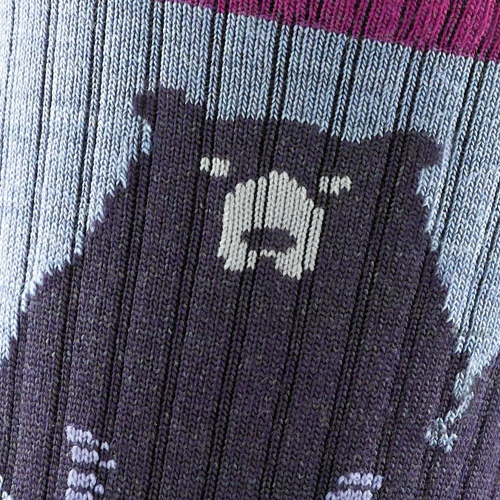 Bas Darn Tough Bear Town Micro Crew Lightweight Hiking (femmes) - Image 6