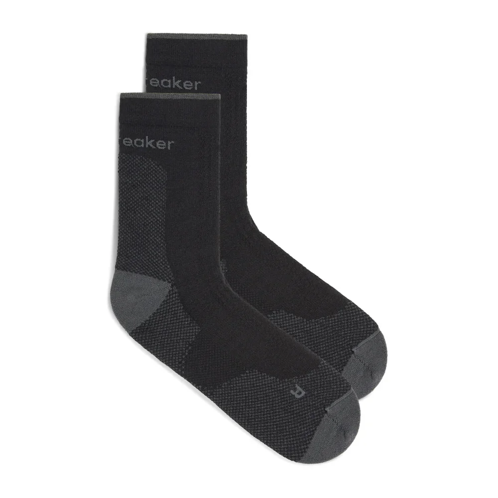 Bas Icebreaker Merino Hike+ Ultralight Quarter (hommes)