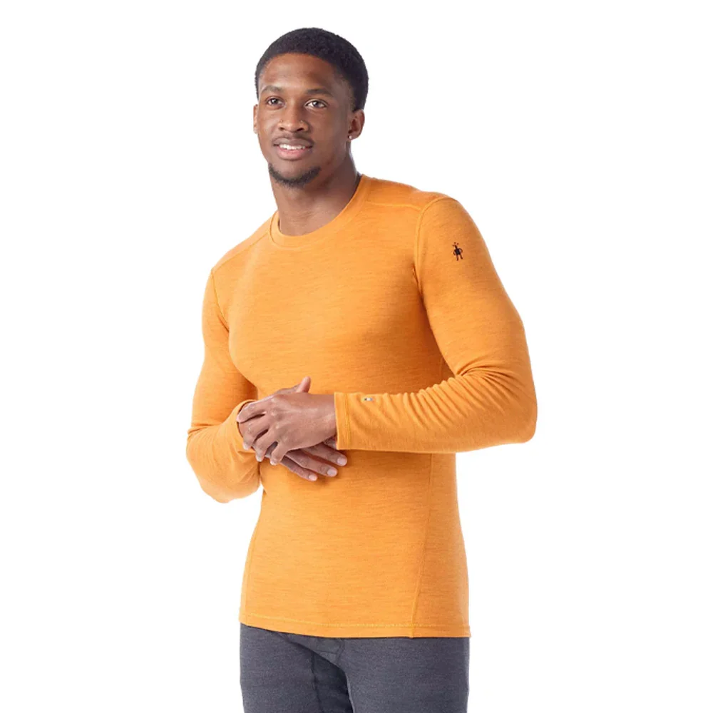 Chandail Smartwool Merino 250 Crew Boxed (hommes) - Image 20