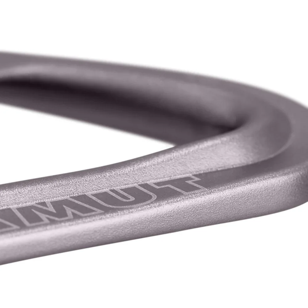 Paquet de 6 dégaines Mammut Workhorse Keylock 17 cm - Image 4